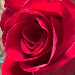 Meet your Posher, Mae